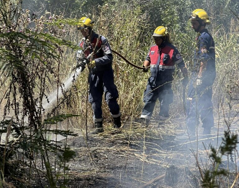 Bomberos intervinieron en un incendio