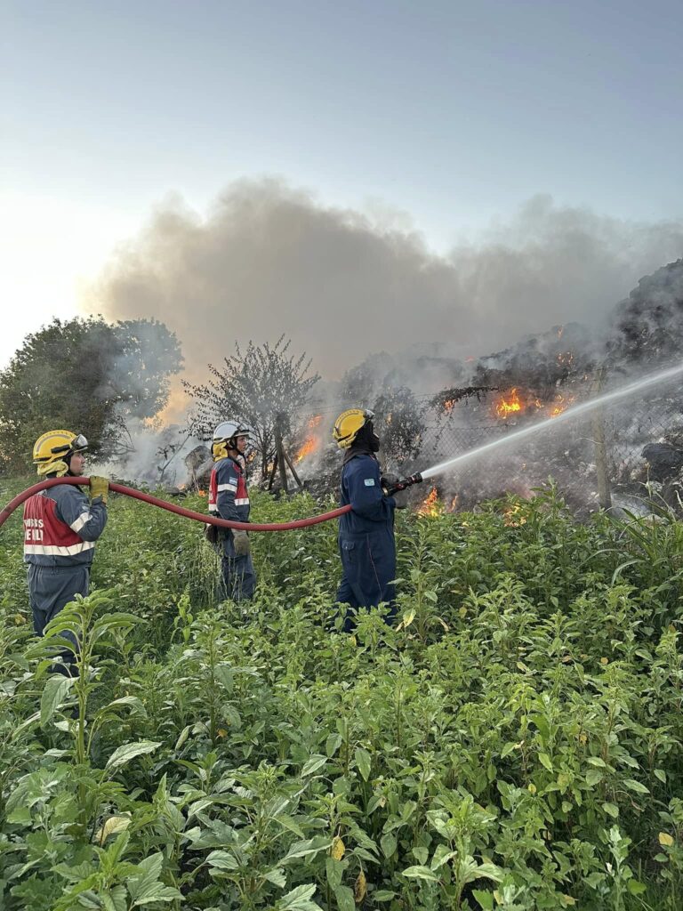 Incendios reiterados en 9 de Julio