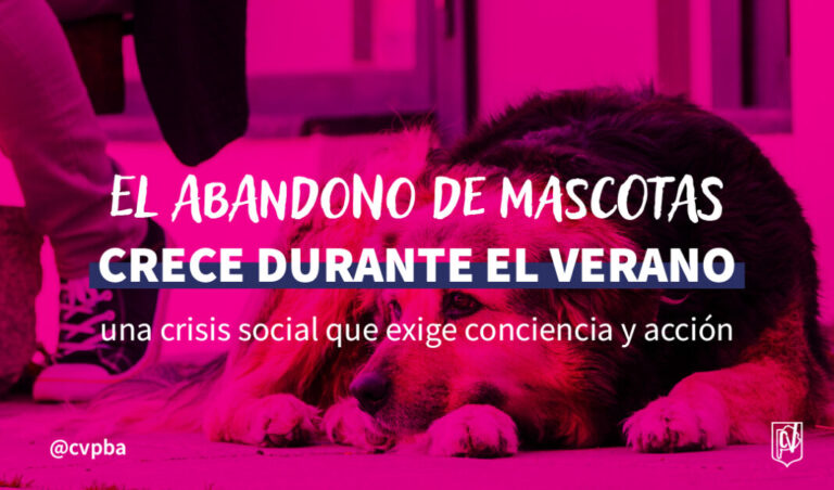 Durante el verano crece el abandono de mascotas