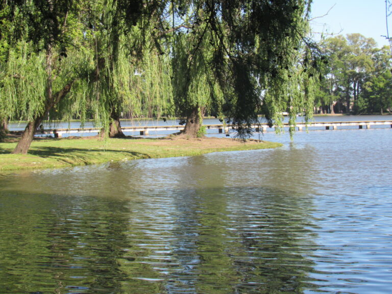 Concurso de pesca para niños y adolescentes en el Parque «San Martín»