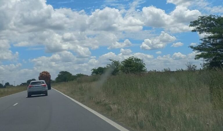Gentile habló de los reclamo por banquinas de Ruta 5