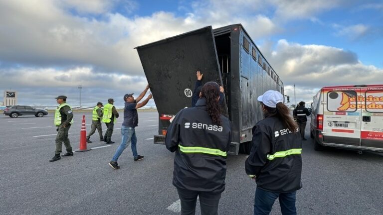 Transportes de animales vivos y alimentos: creció un 170% el control de SENASA