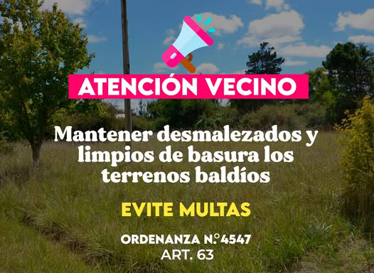 Es obligatorio limpiar los terrenos baldíos