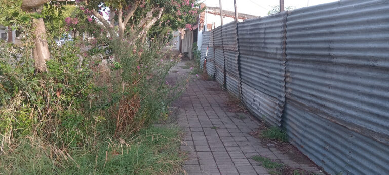 Falta de limpieza y acondicionamiento de veredas