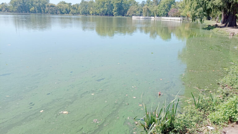 Riesgo naranja por la presencia de cianobacterias en el Parque Gral.San Martín