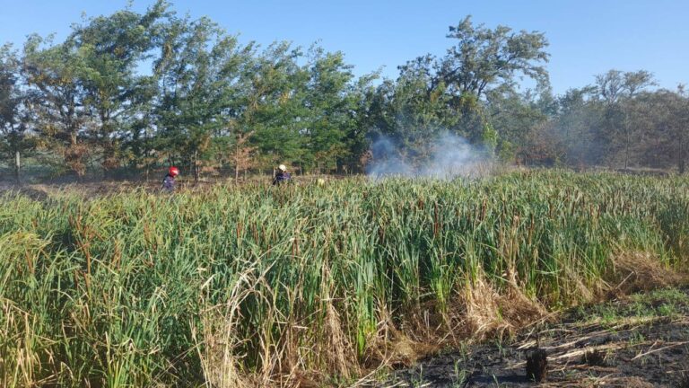 Bomberos de Dudignac prestaron colaboración