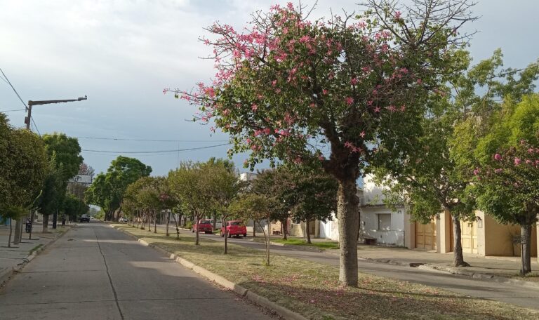 El clima en 9 de Julio para los próximos días