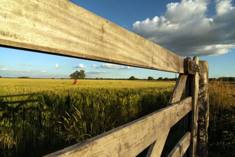 Eximen del Inmobiliario Rural a productores afectados por temporales