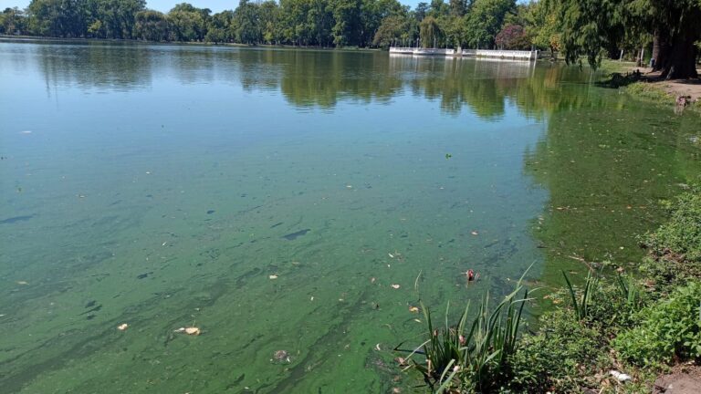 Cianobacterias: sigue el Riesgo Naranja en el Parque