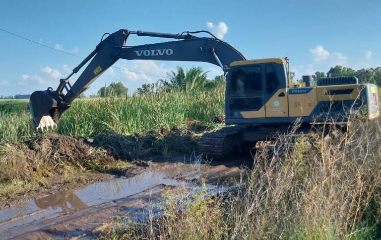 Limpieza de canales y trabajos en alteo