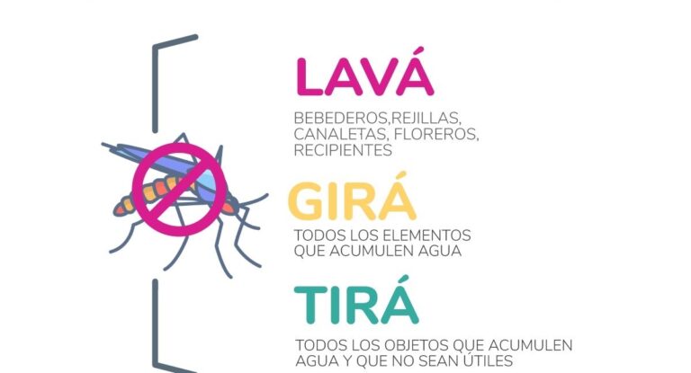 Recomendaciones para prevenir el dengue