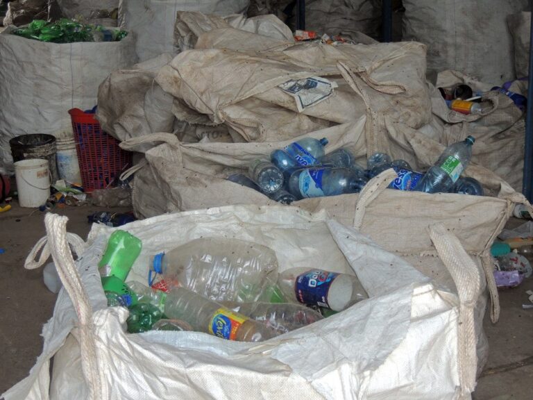 Recolección: zonas de carpidos y reciclables