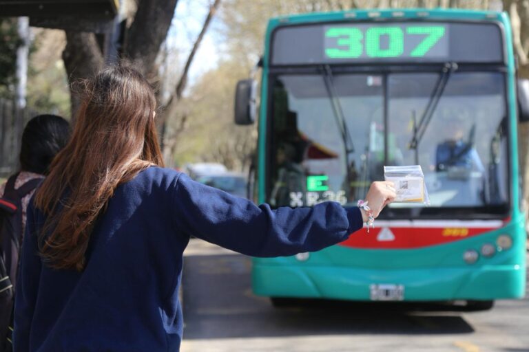 Boleto Estudiantil para niveles Terciario y Universitario