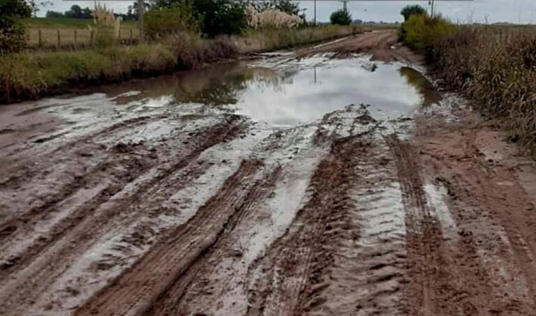 Piden reparación y mantenimiento del camino La Colonia – Naón