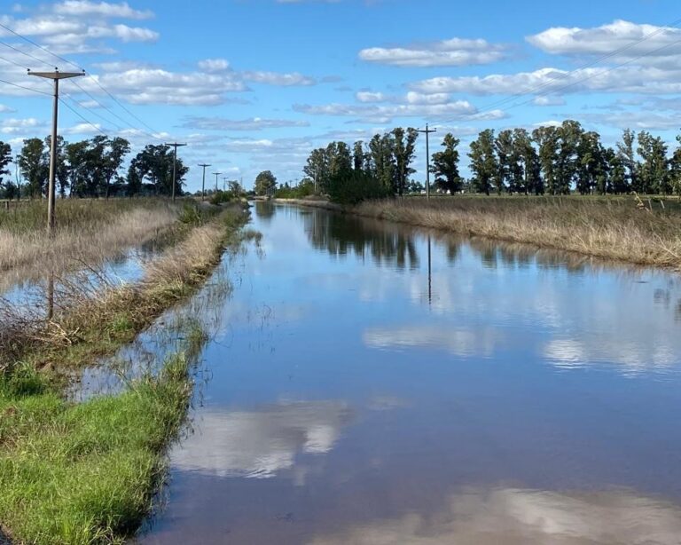 Caminos: sigue la preocupación de la Sociedad Rural de 9 de Julio