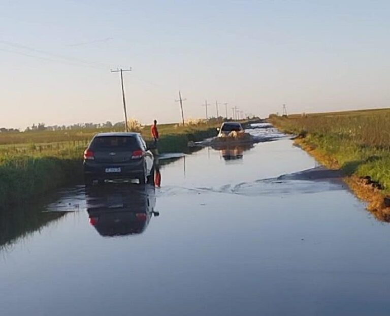 Preocupación por el camino Del Valle – Ruta 65
