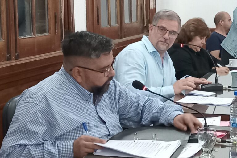 Malis reemplaza a Bordone en la Presidencia del Concejo