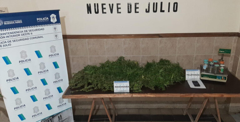 Incautan 7,5 kilos de marihuana: una persona aprehendida