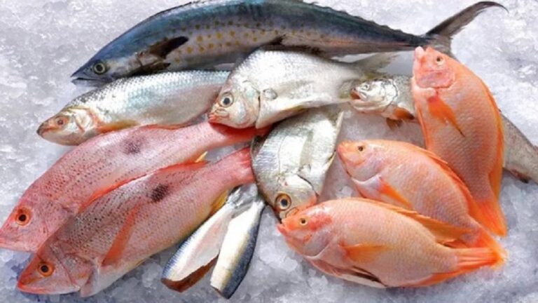 Semana Santa: consejos para el consumo seguro de pescados