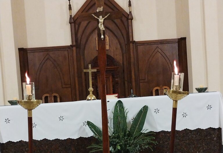 Iglesia Catedral: programa de misas para Semana Santa
