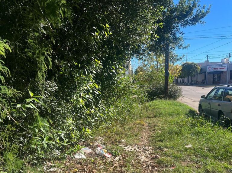 Piden limpieza de terreno de calle Gutiérrez y San Martín