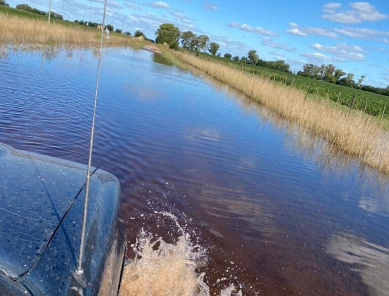 En lo que va del año cayeron 1.105,9 mm en 9 de Julio