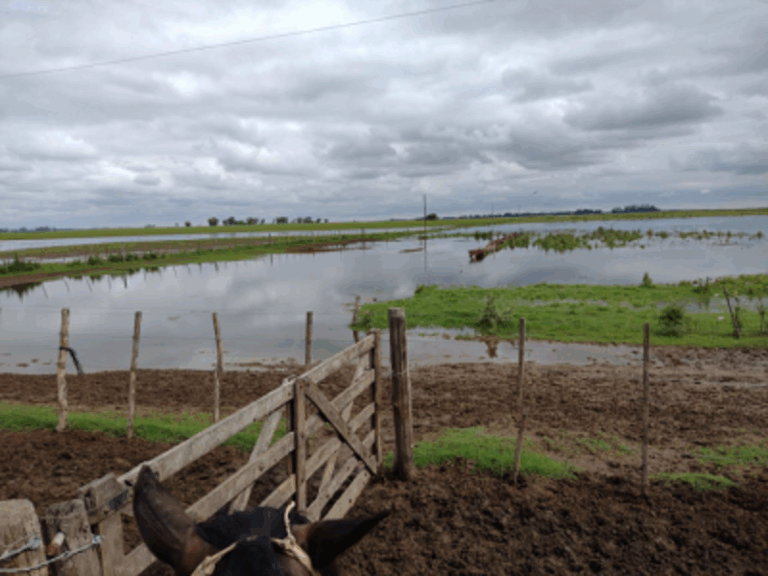 Emergencia y/o Desastre Agropecuario: vence hoy la presentación