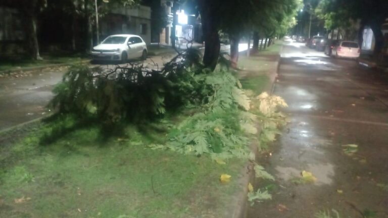 Tormenta: lluvia intensa en 9 de Julio