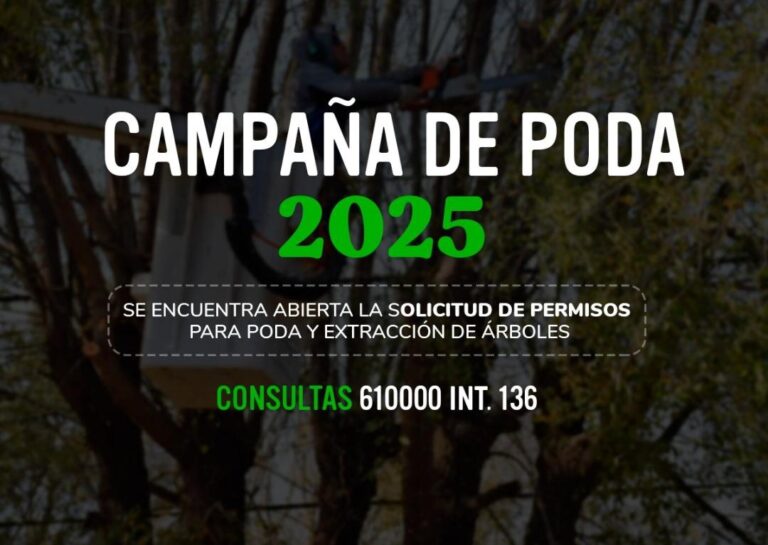 Permisos para la poda y extracción de árboles