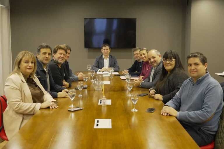 Ignacio Palacios fue convocado para de la Convención de Contingencia de la UCR