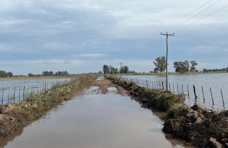 Semáforo: el estado de caminos relevados