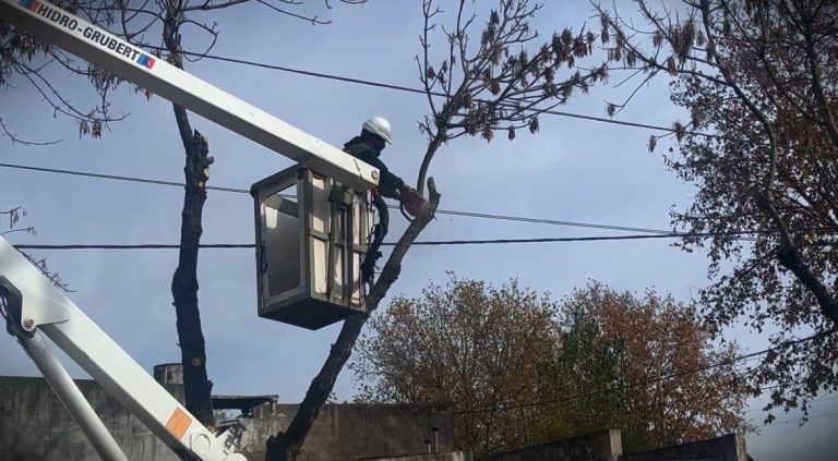 Mantenimiento y cuidado en la Ciudad