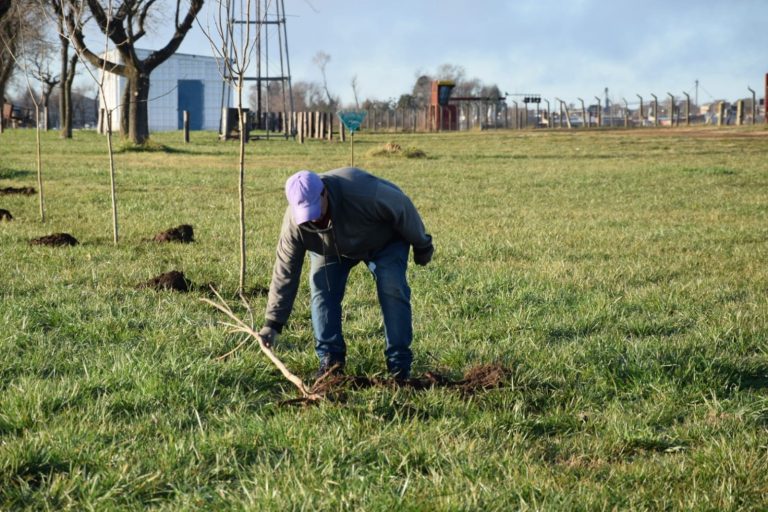 Plantaron 20 árboles en el predio del Autódromo