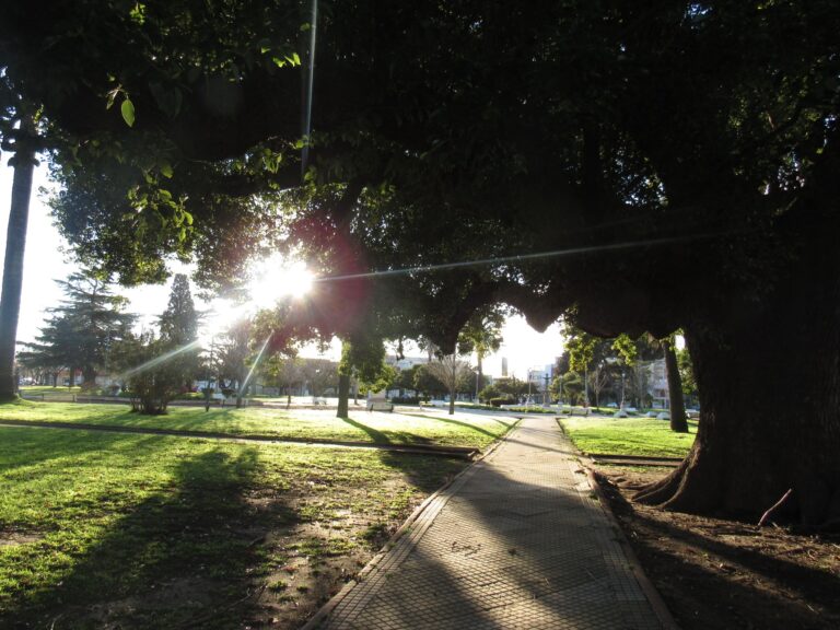 El clima para los próximos días en 9 de Julio y la zona