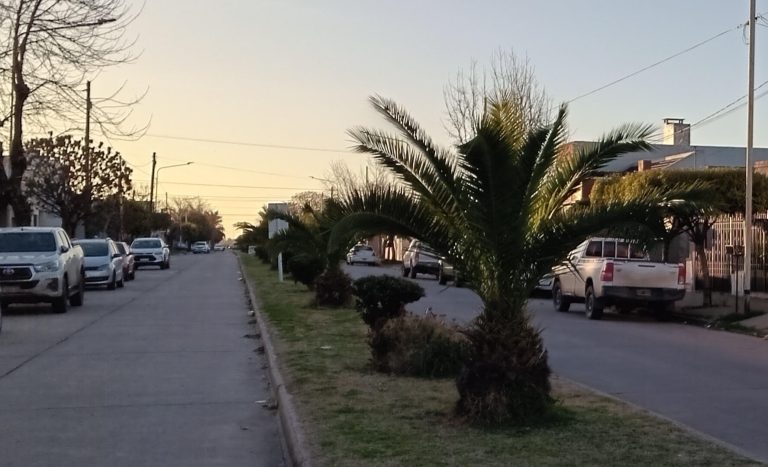 Cómo se presentará el clima en 9 de Julio durante la semana