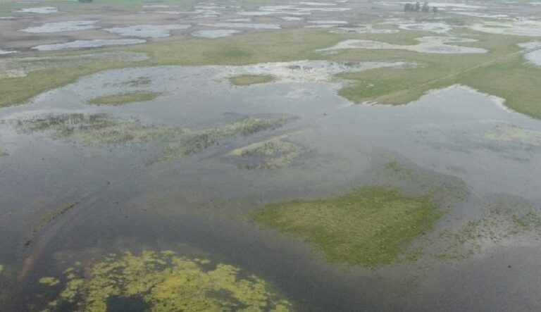 CRA: «respuestas urgentes y coordinadas de los gobiernos provincial y nacional»