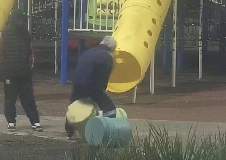 Daños en el Parque: fueron identificados dos menores