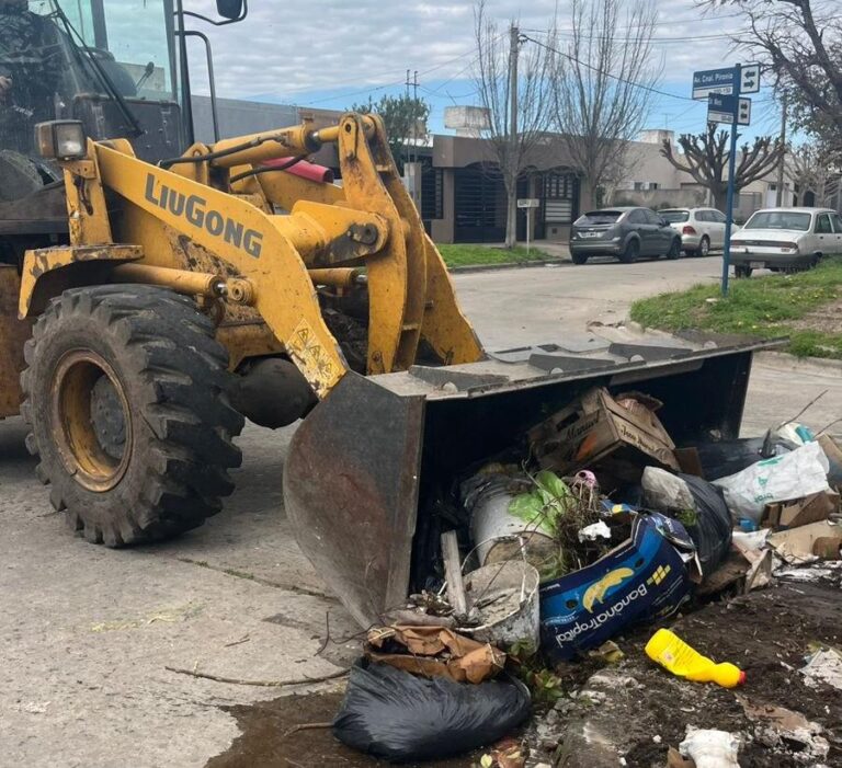 Sigue la limpieza de microbasurales en la Ciudad