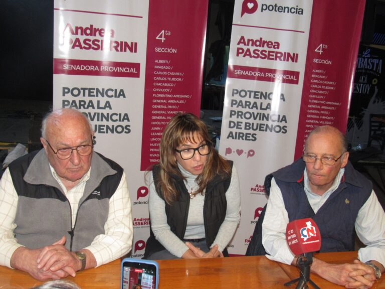 Potencia: Passerini y Bollini presentaron sus lineamientos