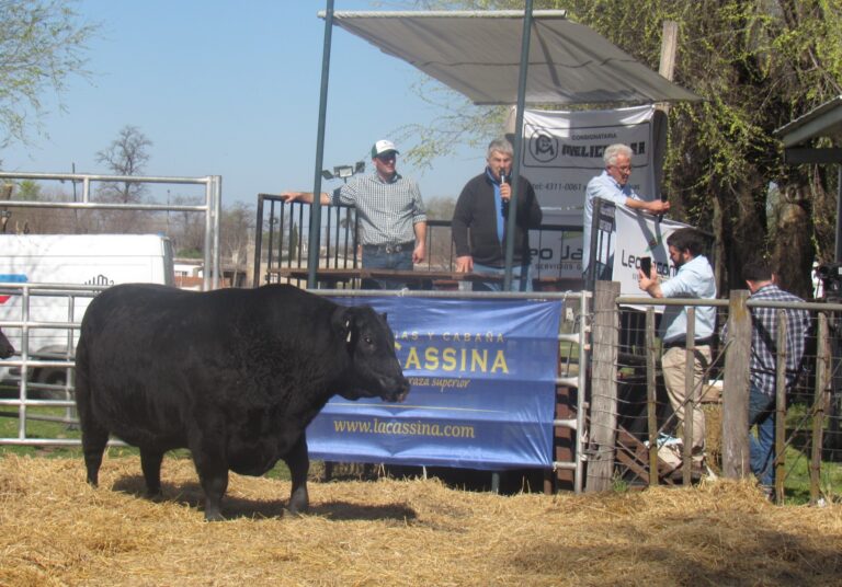 «La Cassina» realizó el 19no remate en 9 de Julio
