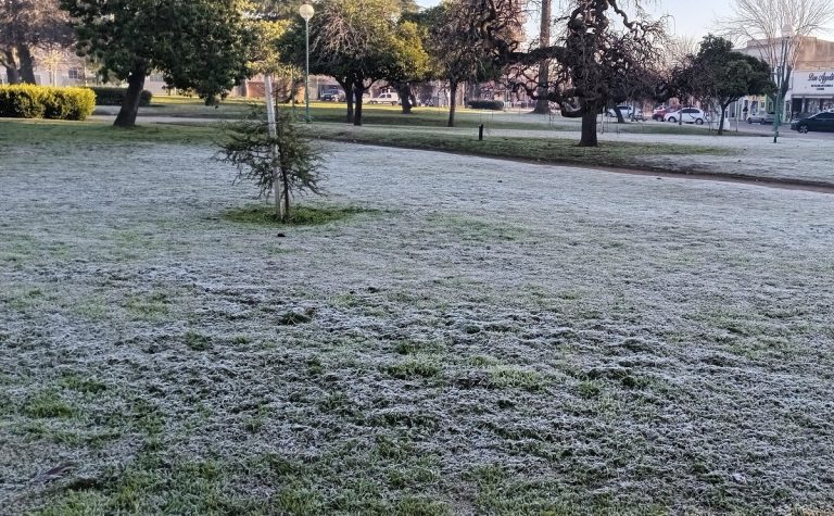 Bajas marcas en agosto: con helada en la jornada de hoy