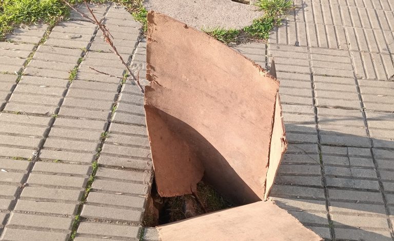 Veredas en mal estado, un riesgo para los peatones