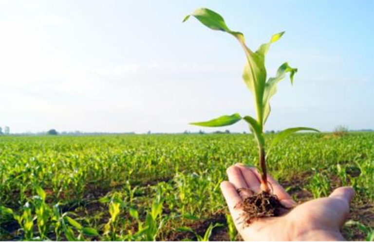 8 de septiembre, Día del Agricultor: