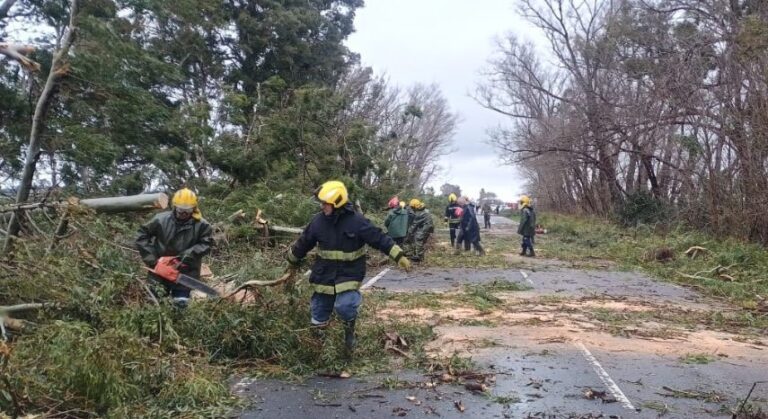 Caída de árboles en Ruta 65 y Ruta 5, durante la tormenta