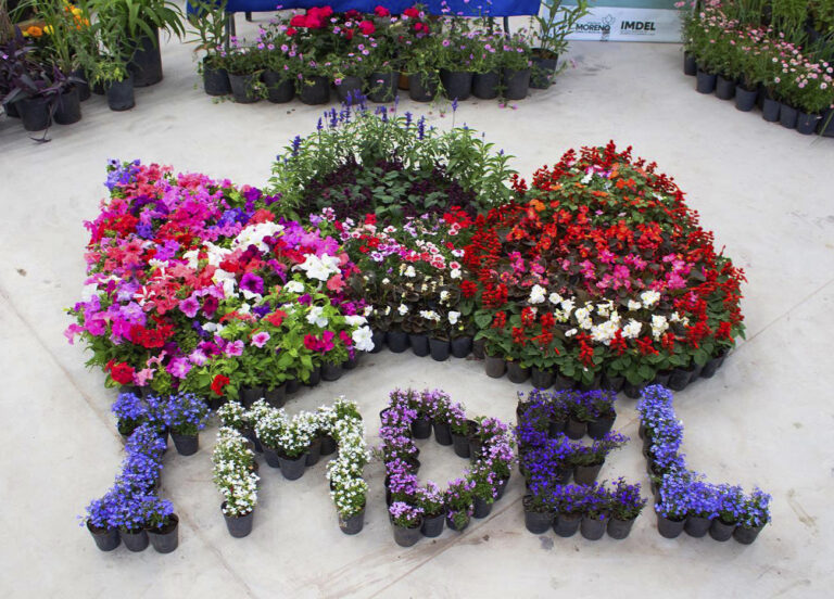 Calendario de eventos turísticos en la Provincia de Buenos Aires