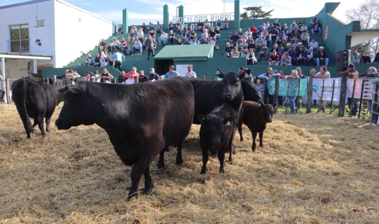 Resultó un éxito el 10mo remate de «Don Félix» y «La Marianita»