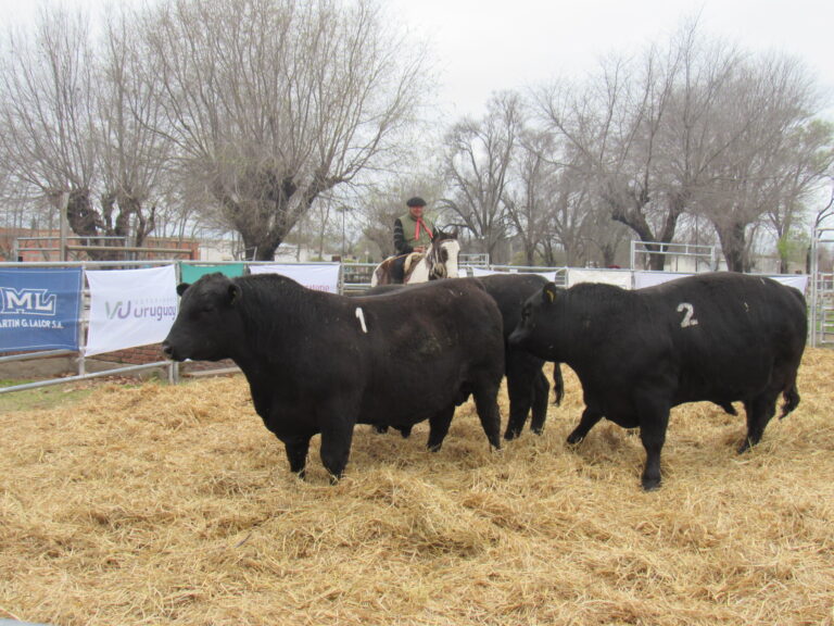 «Don Félix» y «La Marianita» invitan al 10mo remate