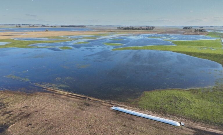 Emergencia Agropecuaria: el sistema sigue abierto