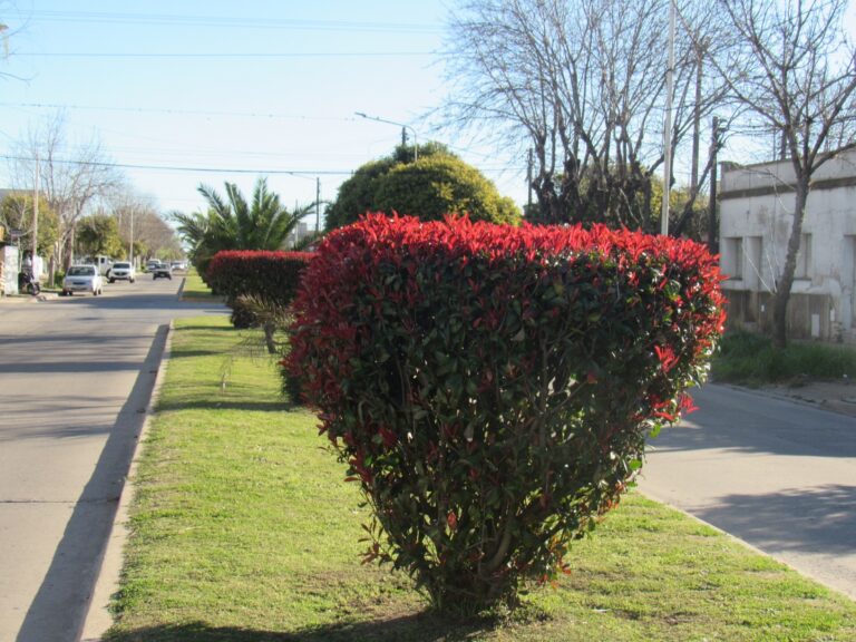 El clima en 9 de Julio y alrededores