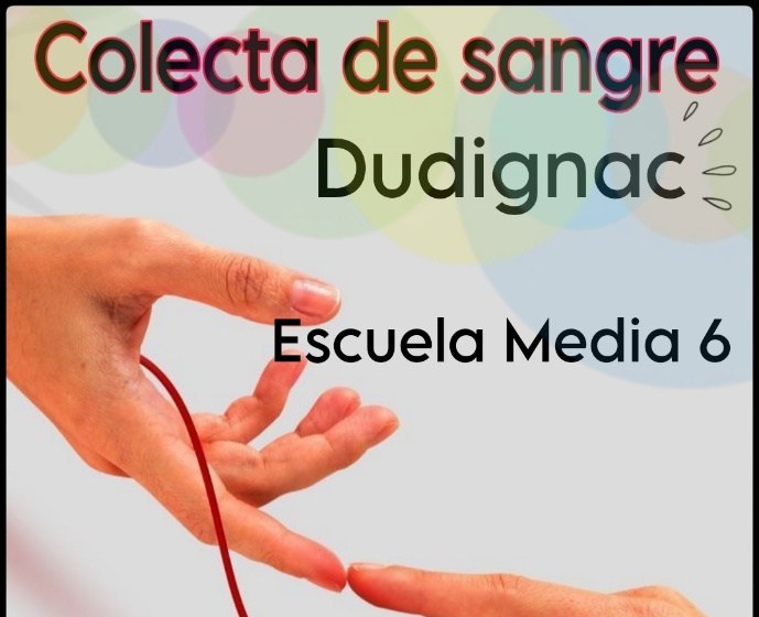 Se realizará una colecta de sangre en Dudignac